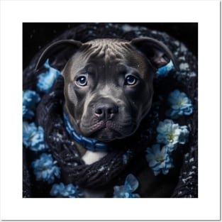 Blue Nose Pit Bull Posters and Art